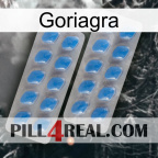 Goriagra 23